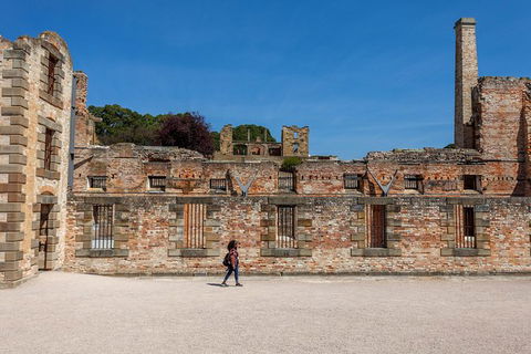 Port Arthur And Tassie Devils Active Day Tour From Hobart - Find Attractions 7
