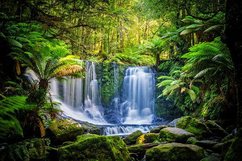 Day Tour In Mt. Field, Mt. Wellington, Bonorong Wildlife Sanctuary And Richmond - Find Attractions 0