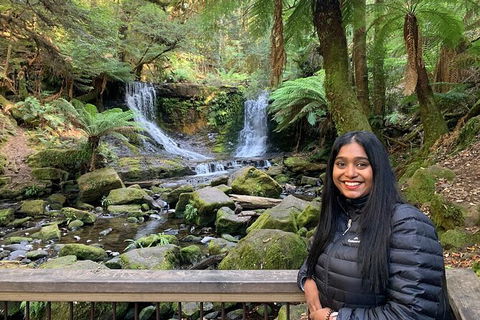 Day Tour In Mt. Field, Mt. Wellington, Bonorong Wildlife Sanctuary And Richmond - Find Attractions 4