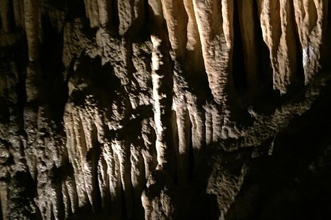 Small-group DayTour From Hobart: Hastings Caves, Huon Valley And Tahune AirWalk - Find Attractions 1