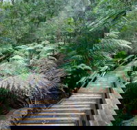 Small-group DayTour from Hobart Hastings Caves Huon Valley and Tahune AirWalk - Find Attractions