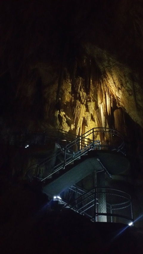 Small-group DayTour From Hobart: Hastings Caves, Huon Valley And Tahune AirWalk - Find Attractions 4