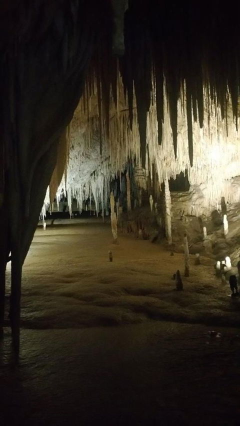 Small-group DayTour From Hobart: Hastings Caves, Huon Valley And Tahune AirWalk - Find Attractions 8