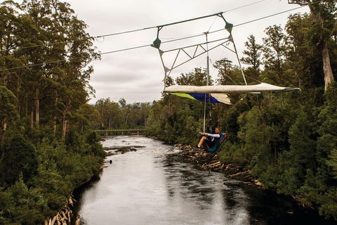 Small-group DayTour From Hobart: Hastings Caves, Huon Valley And Tahune AirWalk - Find Attractions 14