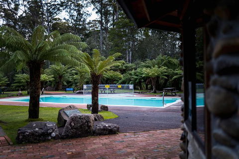 Small-group DayTour From Hobart: Hastings Caves, Huon Valley And Tahune AirWalk - Find Attractions 12