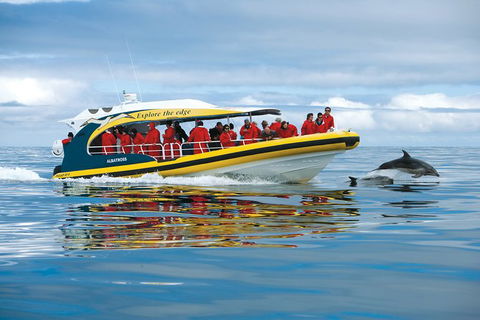 3-Hour Tasman Peninsula Wilderness Cruise From Port Arthur - Find Attractions 5