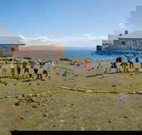 Maria Island Active Day Trip from Hobart - Find Attractions