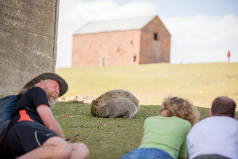 Maria Island Active Day Trip From Hobart - Find Attractions 14