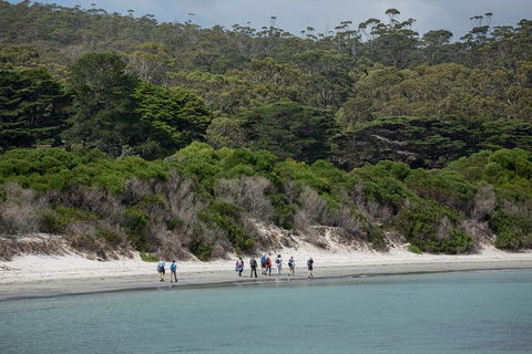Maria Island Active Day Trip From Hobart - Find Attractions 11