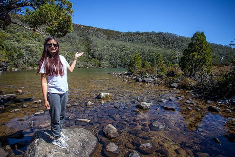 Mt Field National Park Active Day-Trip Including Bonorong And Mt Wellington - Find Attractions 12