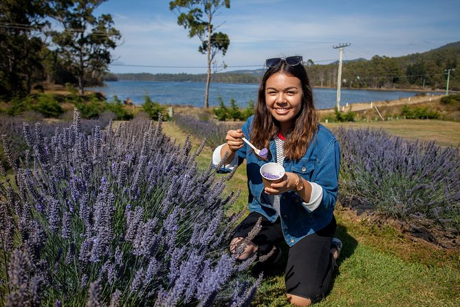 Hobart City TAS Find Attractions
