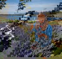 Port Arthur and Lavender Farm Active Day Tour - Find Attractions