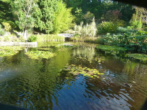 Hobart Half-Day Sightseeing Coach Tram Tour - Find Attractions 14