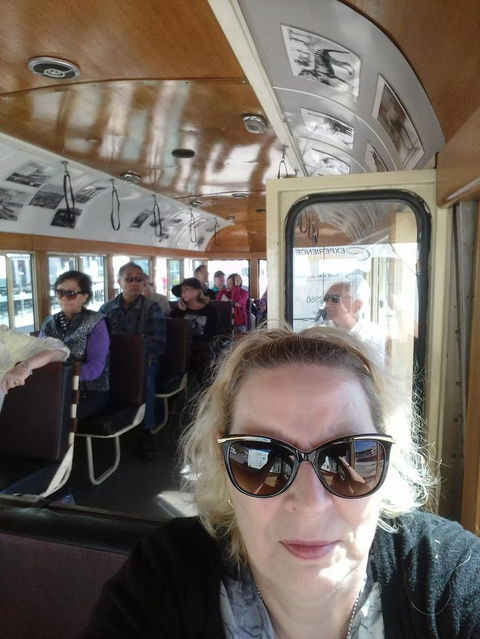 Hobart Half-Day Sightseeing Coach Tram Tour - Find Attractions 2