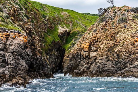 Hobart Sightseeing Cruise Including Iron Pot Lighthouse - Find Attractions 1