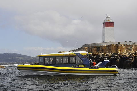Hobart Sightseeing Cruise Including Iron Pot Lighthouse - Find Attractions 7