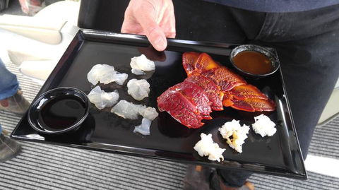 Fresh From The Ocean: Tasmanian Seafood Gourmet Full-Day Cruise Including Lunch - Find Attractions 5