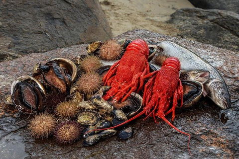 Fresh From The Ocean: Tasmanian Seafood Gourmet Full-Day Cruise Including Lunch - Find Attractions 16