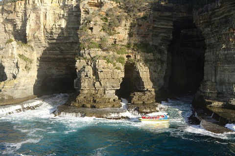 Full-Day Tasman Peninsula Tour From Hobart - Find Attractions 18