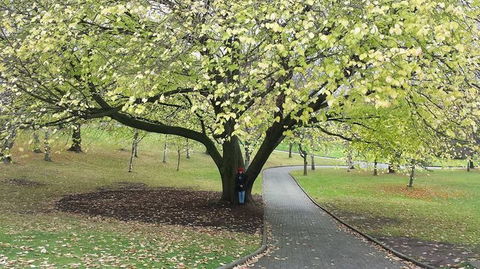 Hobart City Sightseeing Tour Including MONA Admission - Find Attractions 3
