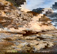 Maria Island premium private photo-oriented day tour from Hobart - Find Attractions