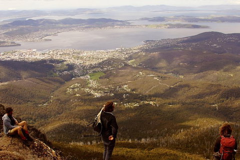 Mt Wellington Half Day Guided Summit Hike - Find Attractions 0