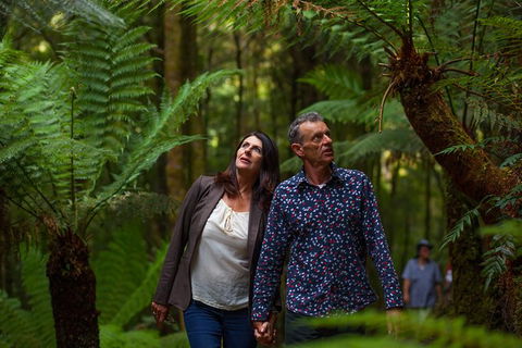 West Coast Wilderness Railway: River And Rainforest From Strahan - Find Attractions 1