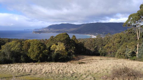 3-Day Tasmania Combo: Hobart To Launceston Active Tour - Find Attractions 11
