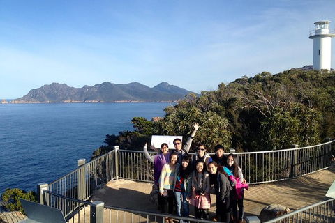 3-Day Tasmania Combo: Hobart To Launceston Active Tour - Find Attractions 12