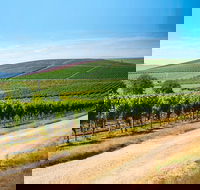 Full Day Tamar Valley Wine Tour - Find Attractions