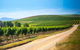 Full Day Tamar Valley Wine Tour - thumb 2