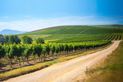 Full Day Tamar Valley Wine Tour - Find Attractions 2