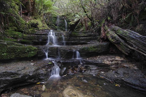 Hobart And Surrounds Photography Workshop - Find Attractions 7