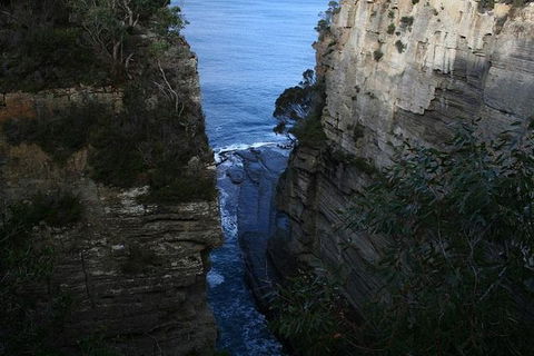 Cruise Ship Special From Port Arthur: Explore Tasman Peninsula With Free WiFi - Find Attractions 1