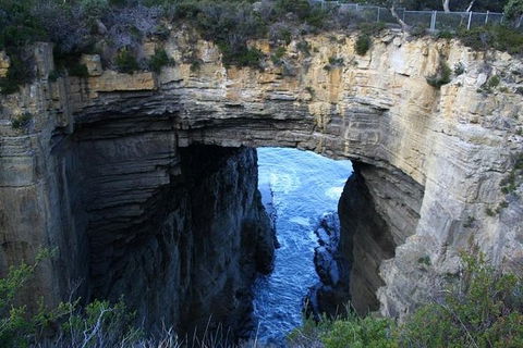 Cruise Ship Special From Port Arthur: Explore Tasman Peninsula With Free WiFi - Find Attractions 0