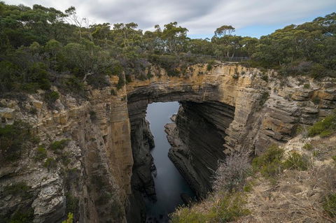 Cruise Ship Special From Port Arthur: Explore Tasman Peninsula With Free WiFi - Find Attractions 2