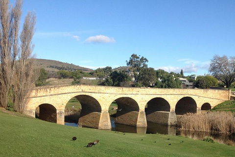 Private Bonorong Wildlife Sanctuary And Richmond 5 Hour Trip From Hobart - Find Attractions 1