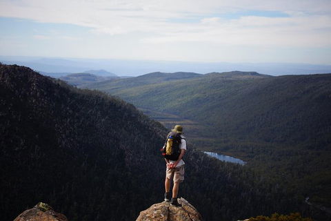 Mount Field National Park - Tarn Shelf & Russell Falls - Guided Hiking Tour - Find Attractions 0
