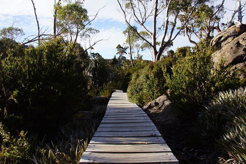 Mount Field National Park - Tarn Shelf & Russell Falls - Guided Hiking Tour - Find Attractions 5