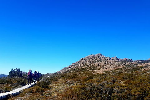 Mount Field National Park - Tarn Shelf & Russell Falls - Guided Hiking Tour - Find Attractions 6