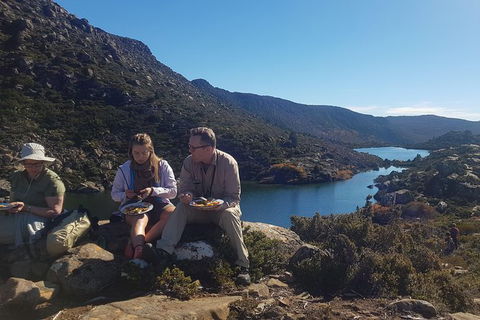 Mount Field National Park - Tarn Shelf & Russell Falls - Guided Hiking Tour - Find Attractions 8