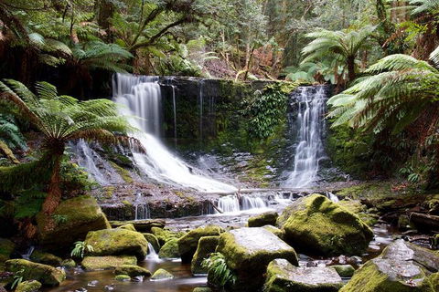 Mount Field National Park - Tarn Shelf & Russell Falls - Guided Hiking Tour - Find Attractions 10