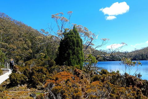 Mount Field National Park - Tarn Shelf & Russell Falls - Guided Hiking Tour - Find Attractions 3