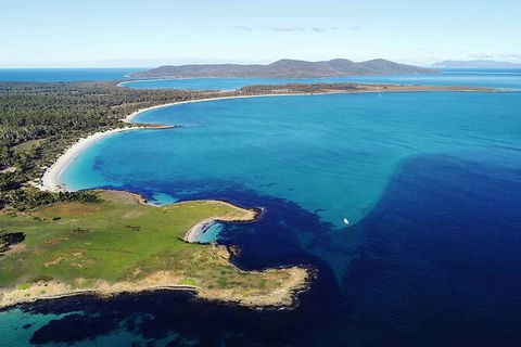Maria Island Shuttle Bus Hobart To Triabunna (Round Trip) - Find Attractions 9