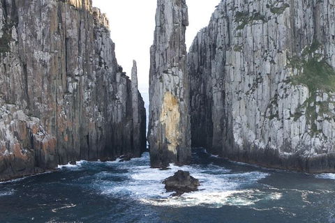 Day Trip To Tasman Peninsula And Port Arthur Historic Site From Hobart - Find Attractions 0