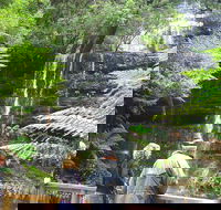 Mt Field National Park and Russell Falls from Hobart - Find Attractions