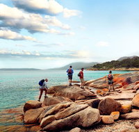 Great Walks of Australia 4-Day Freycinet Experience Walk - Find Attractions