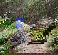 Hollybank Wilderness Adventures - Segway Tour - Find Attractions