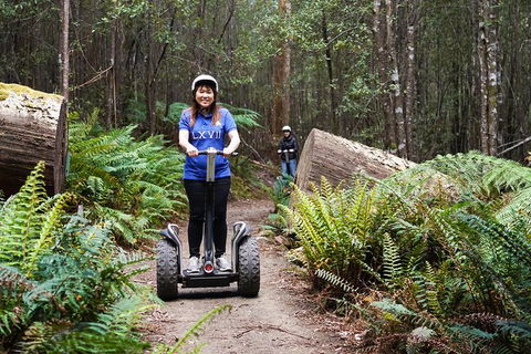 Hollybank Wilderness Adventures - Segway Tour - Find Attractions 0