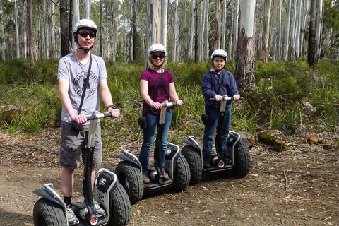 Hollybank Wilderness Adventures - Segway Tour - Find Attractions 3